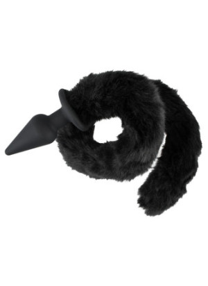 Plug + Tail